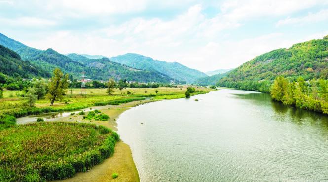arii protejate ale romaniei parcul national cozia