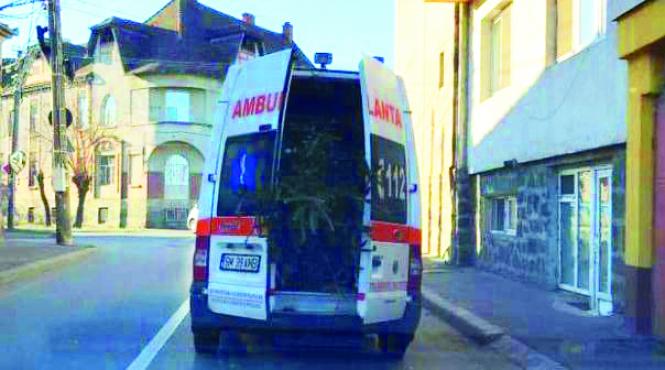 alo 112 veniti va rog moare bradul