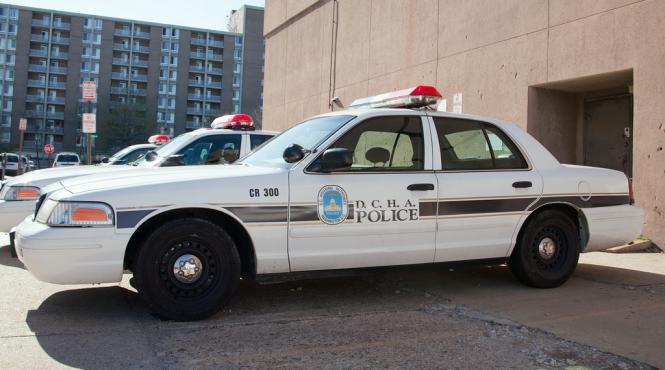 sua dupa ce a fost arestata si incatusata a furat masina politiei