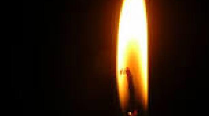 arhitectul dan nicolae a incetat din viata