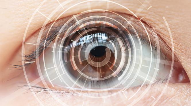 vederea redata de un robot