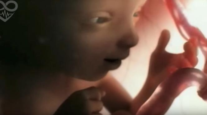 video uimitor 9 luni de sarcina in 4 minute