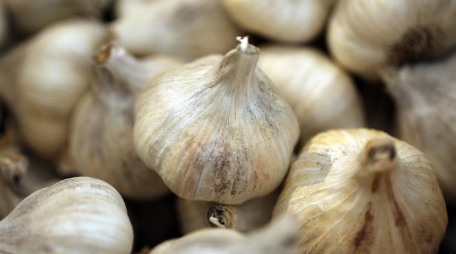 leacuri naturale pentru dureri de spate