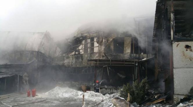 joshua castellano la antena stars bamboo nu va muri va renaste in acelasi loc