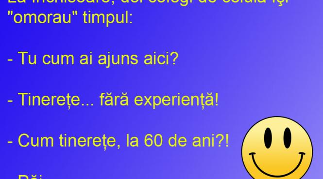 bancul zilei tinerete fara batranete si viata fara de experienta