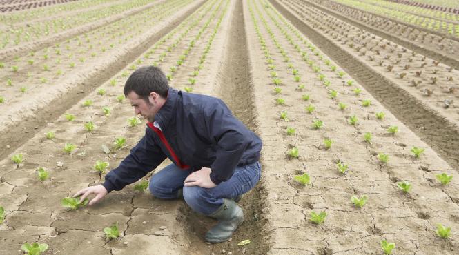 cine isi permite sa mai ia fonduri europene