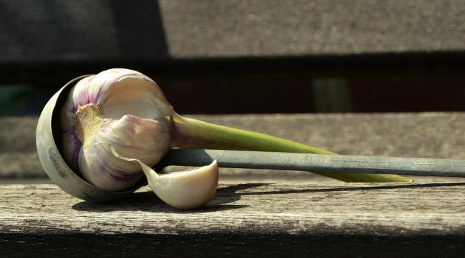 ce poti trata cu ulei de usturoi