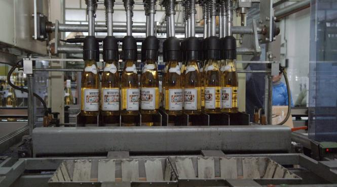 ce a fost si ce a ajuns recolta de struguri la murfatlar a scazut de 100 de ori