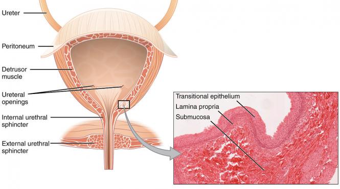 5 simptome ale cancerului pe care orice femeie trebuie sa le stie