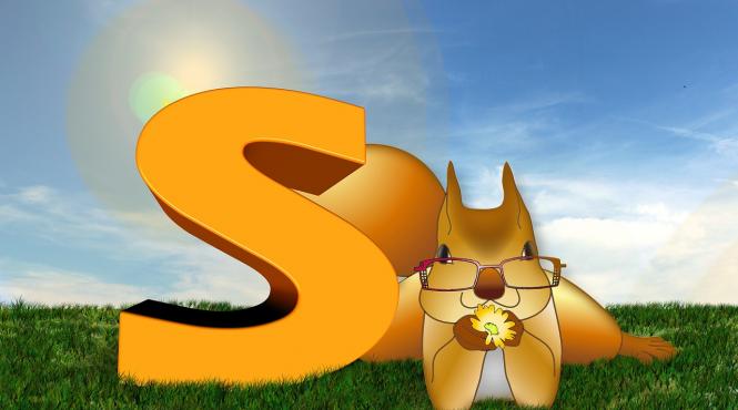 ce semnificatie are numele tau daca incepe cu litera s