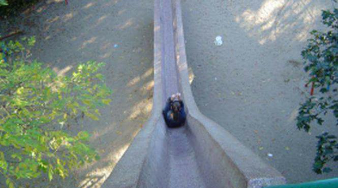 scandal pe toboganul de beton din floreasca