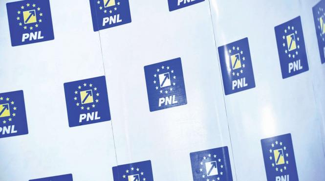 schimbari la statutul pnl liberalii anchetati penal pastrati in functii cheie