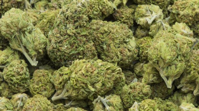 valcea o mama isi folosea copii la vanzarea drogurilor