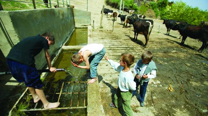 mortalitate infantila dubla la sate fata de orase