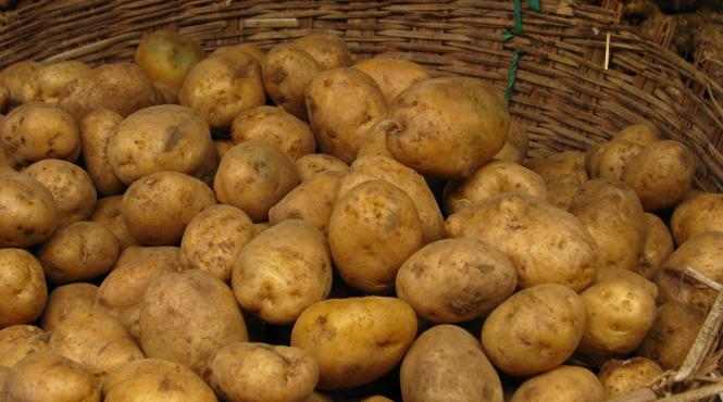 scumpirile continua cartofii si citricele s au scumpit cel mai mult