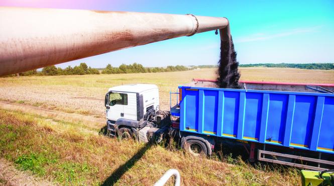 strainii primesc fonduri pentru terenuri