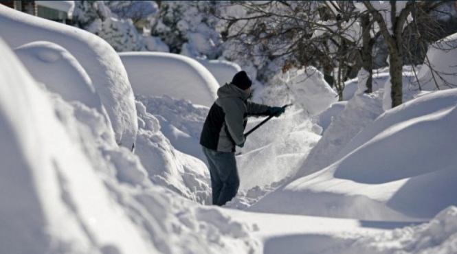 opt state din america sunt in stare de urgenta