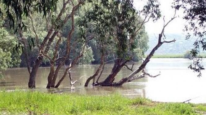 arii protejate ale romaniei parcul natural lunca joasa a prutului inferior