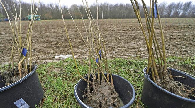 pompieri de doua milioane euro