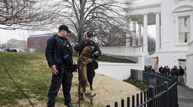 secret service a avut nevoie de 16 minute sa prinda un intrus in casa alba