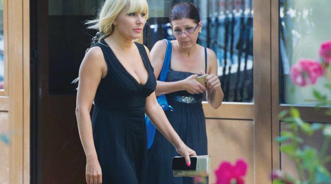 cu ce se ocupa elena udrea dupa ce s a retras din politica