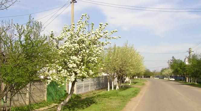 secretarul primariei vadastra disparut de 10 zile a fost gasit inecat intr o fantana