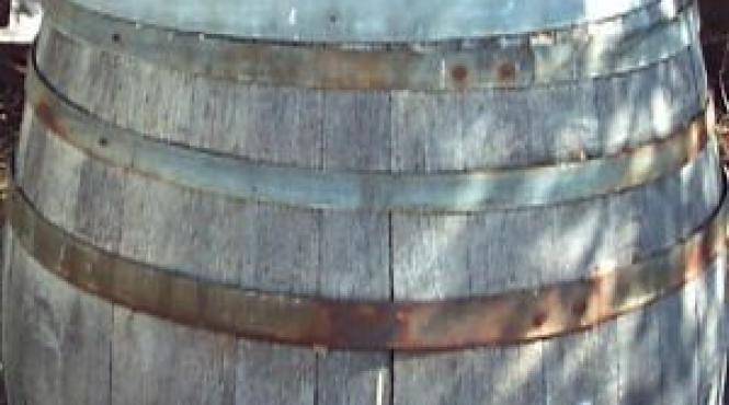 tratamente naturiste leacul miracol pentru cancer sta ascuns in butoi