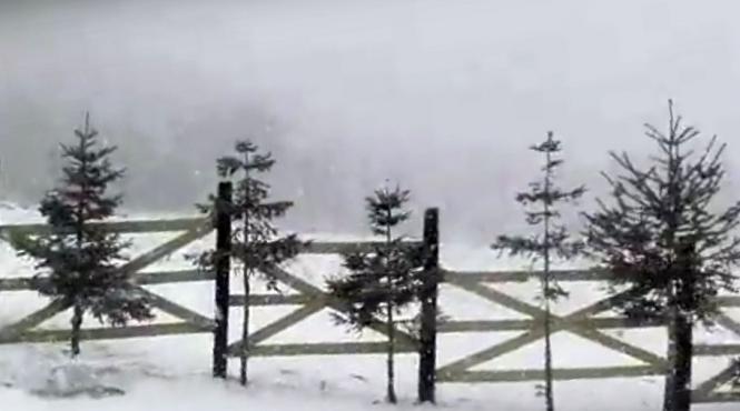 video in muntii bucegi a venit iarna iar zapada a ajuns la 5 centimetri