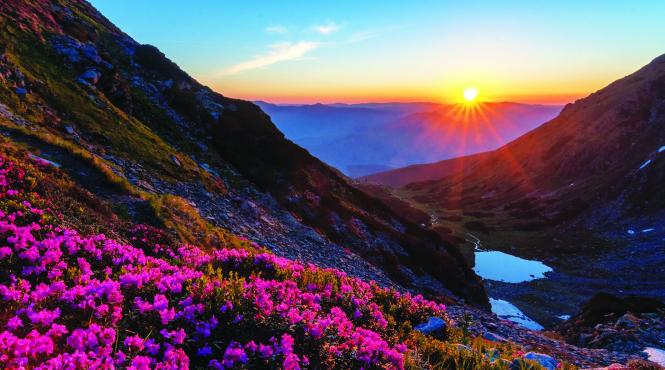 arii protejate ale romaniei parcul natural muntii maramures