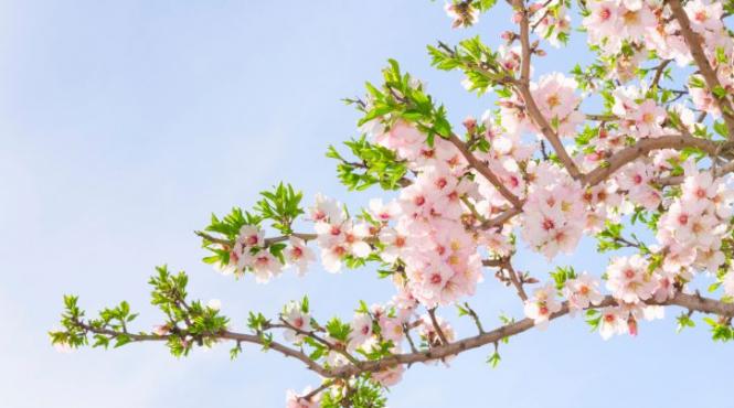 meteo cum va fi vremea in minivacanta de 1 mai