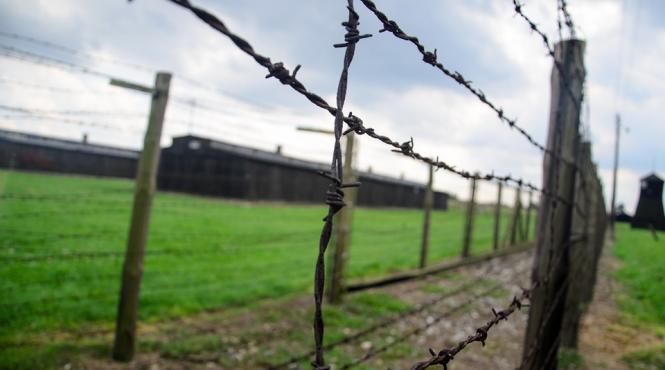 germania inspectii in toate cazarmile pentru depistarea eventualelor simboluri naziste