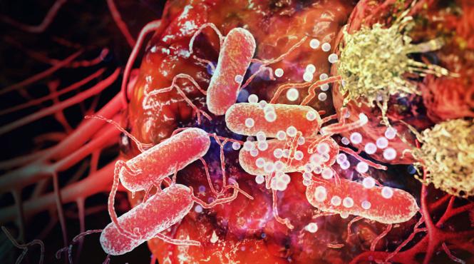 elixirul care poate trata cancerul o amenintare pentru industria farmaceutica