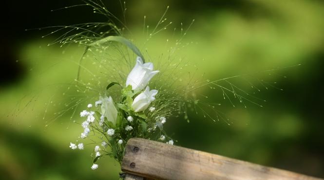 maramures peste 1200 de participanti la prima editie a festivalului nuntilor traditionale