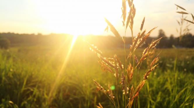 prognoza meteo pentru 30 31 mai si 1 iunie