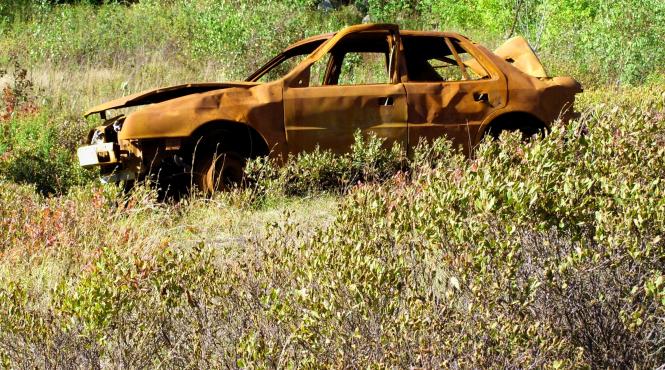 un tanar din arges gasit carbonizat pe un camp