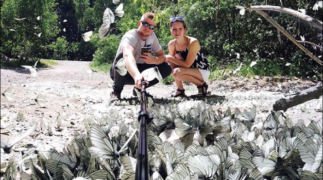 invazie de fluturi in siberia imagini spectaculoase