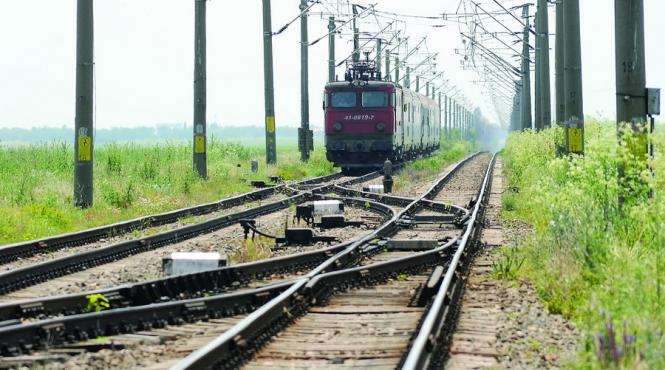 viteza melcului franata de canicula