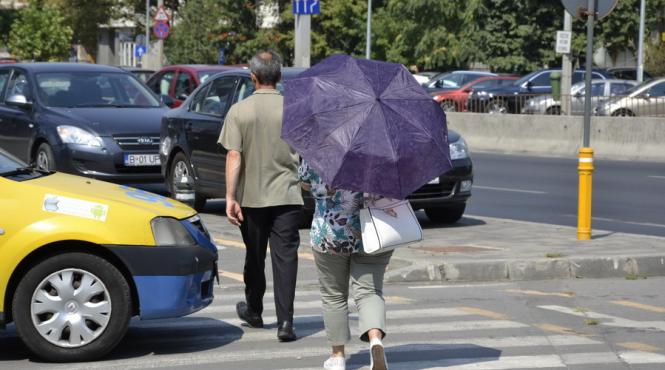 ce greseli facem pe arsita mituri despre canicula