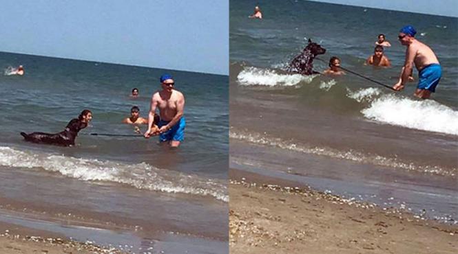 legi exista dar nu se aplica proprietarii de caini inca isi duc animalele pe plajele publice