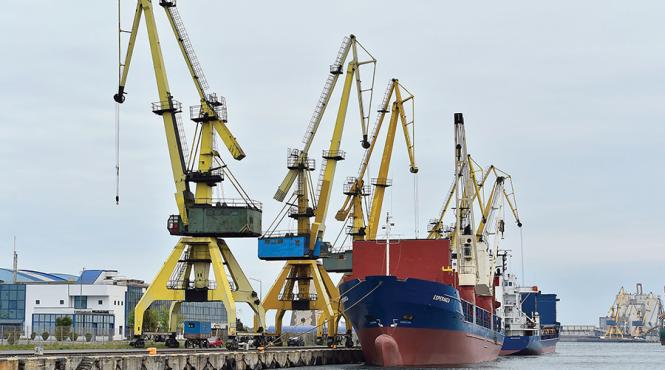 patronii din port fondul proprietatea e toxic