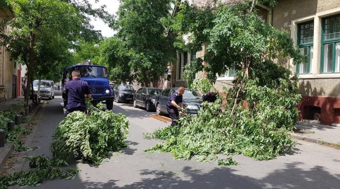 cartiere din arad si alte localitati din judet au ramas fara energie electrica dupa o furtuna violenta