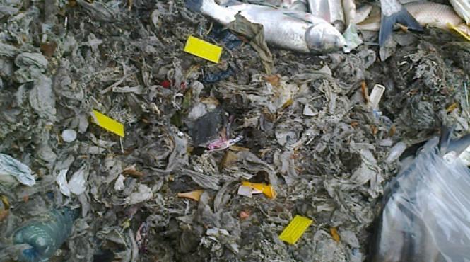 canalizarea din bucuresti pusa in pericol de utilizatorii neatenti