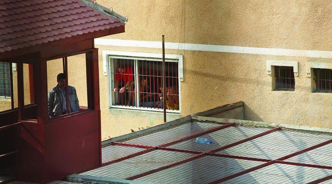 puscarie de 8 ori mai lunga in romania fata de europa