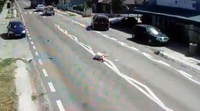 video accident cumplit in poarta alba o femeie este spulberata de o masina