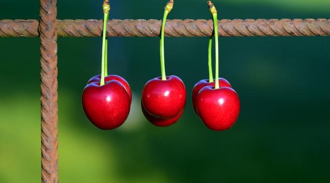 cele mai eficiente metode de a scapa de pietrele la rinichi
