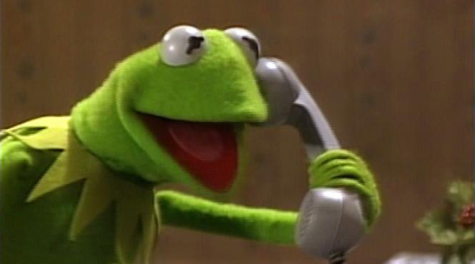 broscoiul kermit a ramas fara voce