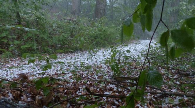 cod portocaliu de grindina si vijelii in localitati din judetele vrancea si galati pana la 18 00