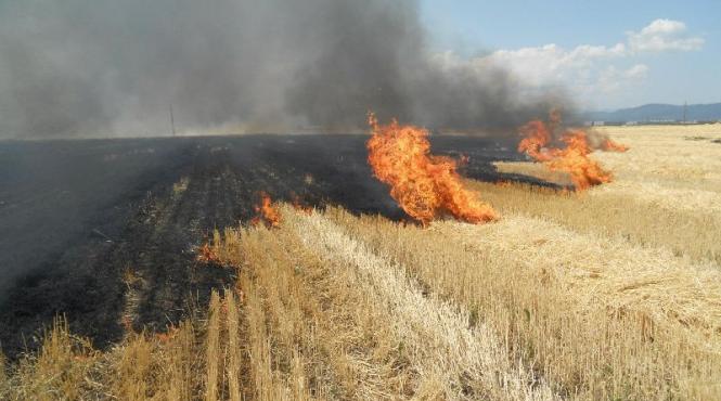 buzau un lan de gau a ars din cauza unui tir care a luat foc