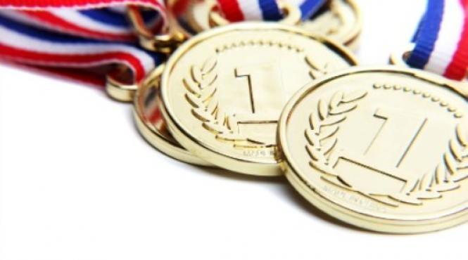 elevii romani medaliati cu aur la olimpiada de informatica din slovenia