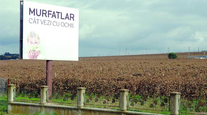 celebrul brand murfatlar a ajuns pe mana unor afaceristi obscuri